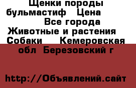 Щенки породы бульмастиф › Цена ­ 25 000 - Все города Животные и растения » Собаки   . Кемеровская обл.,Березовский г.
